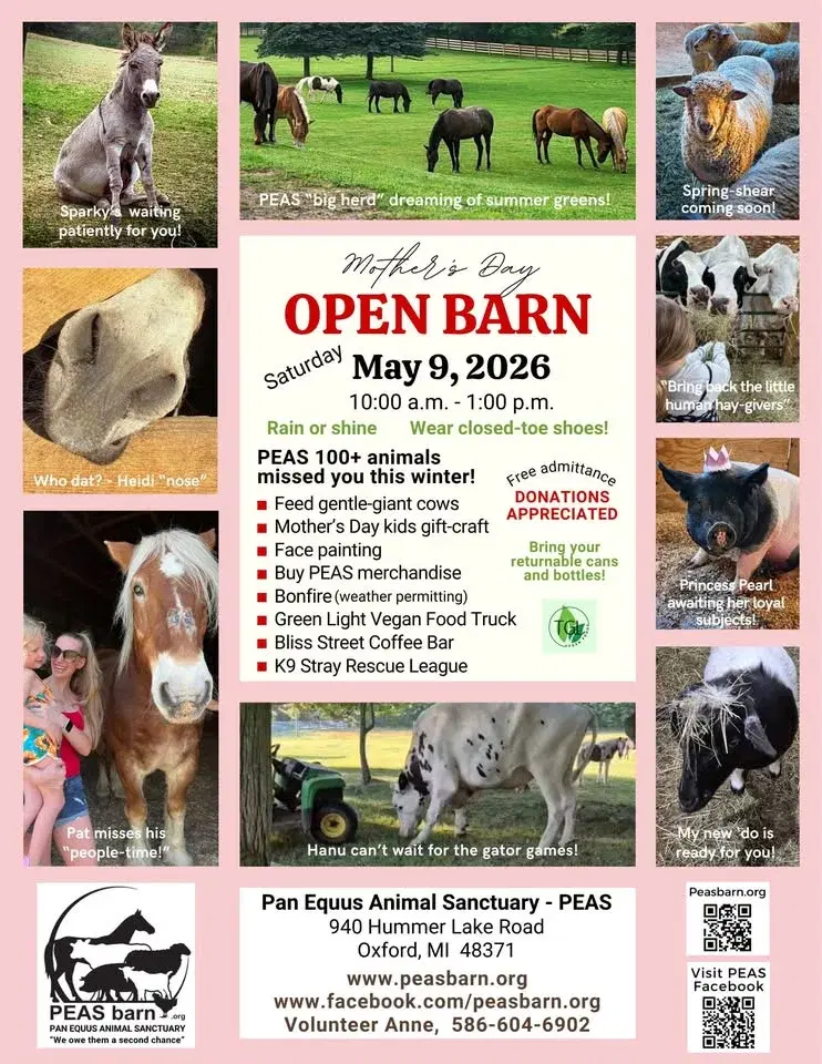 đžMothers Day Open Barn Event (SATURDAY ONLY)