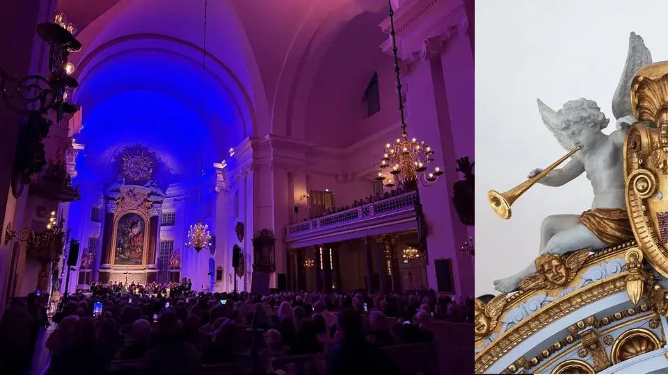 ...and went to Heaven - Konsert med musik av Avicii