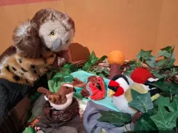 Brilliant birds (Ages 2 to 5)