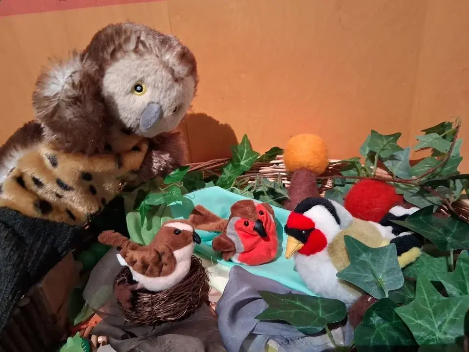 Brilliant birds (Ages 2 to 5)