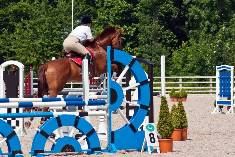 Clinic - Poles to 1.20m