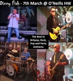 Live Band- Dizzy Fish