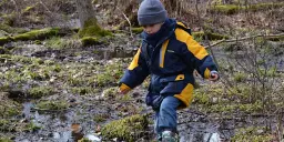 Explore Vernal Pools