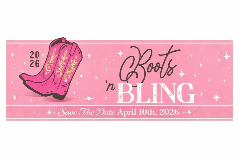 Boots 'N Bling Annual Gala