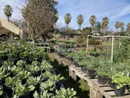 Fresno Master Gardeners Spring Plant Sale