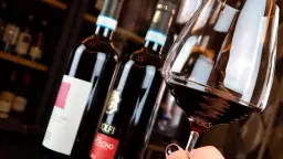 Vinsmagning, Februar