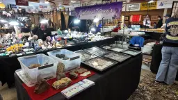 The Central Valley Gem and Mineral Show