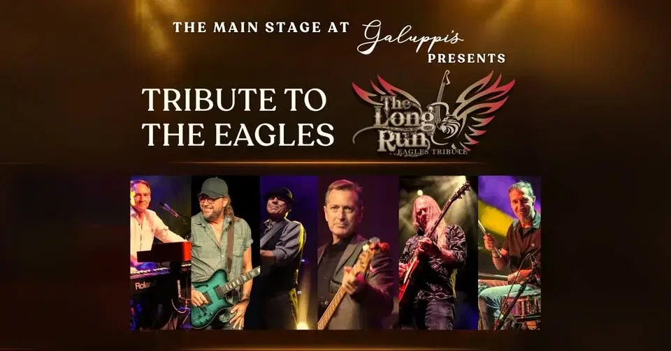 The Long Run - Tribute to the Eagles - Live band at Galuppis