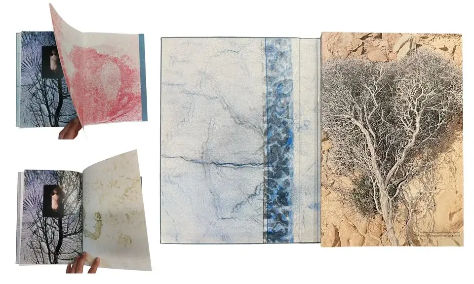 boklansering KJØTT TRE STØV // konserter // opplesning - book launch // concerts // reading