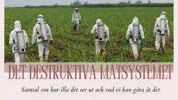 Det destruktiva matsystemet - samtal och mingel