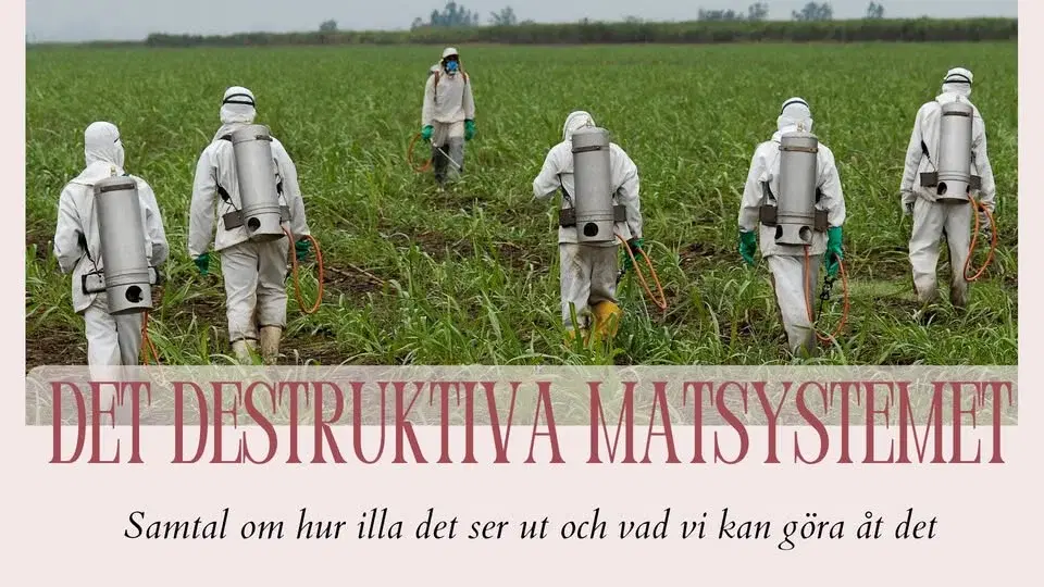 Det destruktiva matsystemet - samtal och mingel