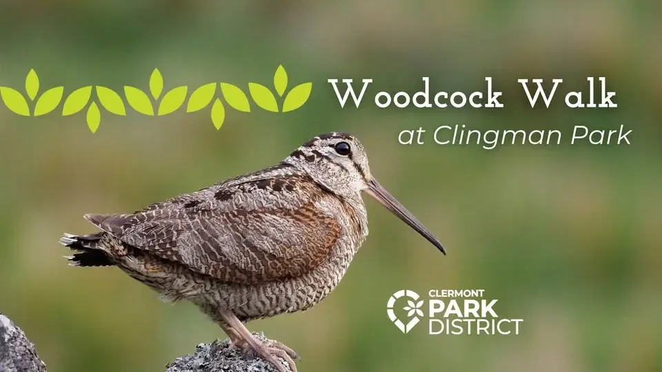 Woodcock Walk at Clingman Park