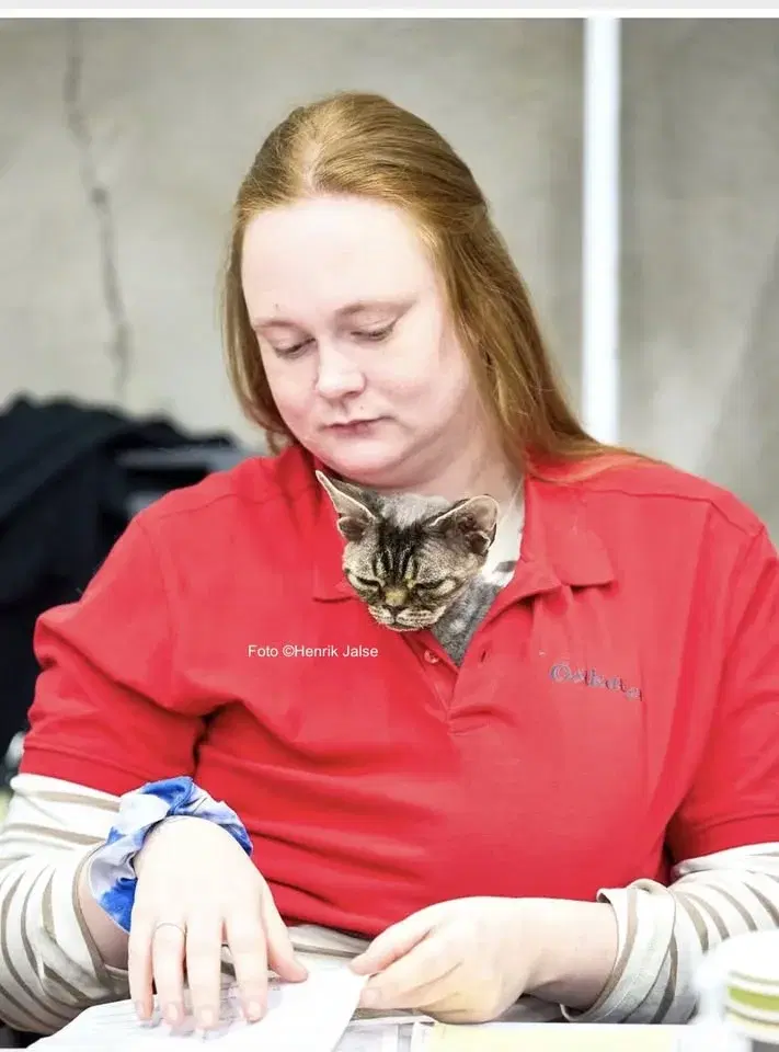 Östkattens utställning 7-8 mars 2026