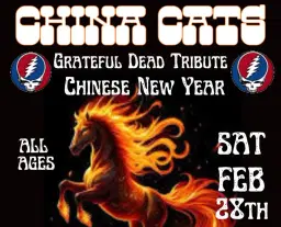 China Cats Chinese New Year Celebration "Year of the Fire Horse!"