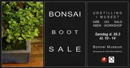 Bonsai Boot Sale