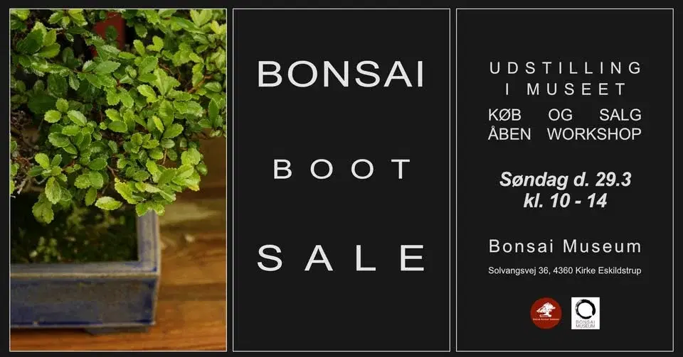 Bonsai Boot Sale