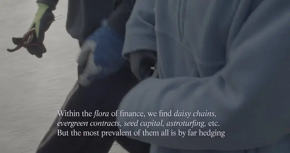 Breaking the Course of the European Boomerang: Screening curated by Una Gjerde and Krisztián Török