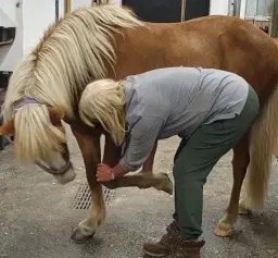 Masterson Method Återträff!