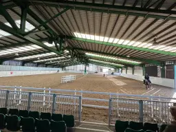 Showing Clinic With Kevin Lee - Ride Judge Sessions Available