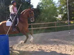 WE-ekend på Rotbrunna, Enköping