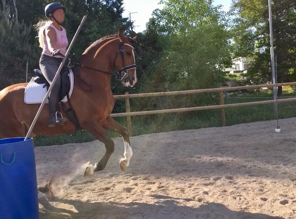 WE-ekend på Rotbrunna, Enköping