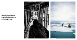 Introduktion till utställningen Rise of the Sunken Sun