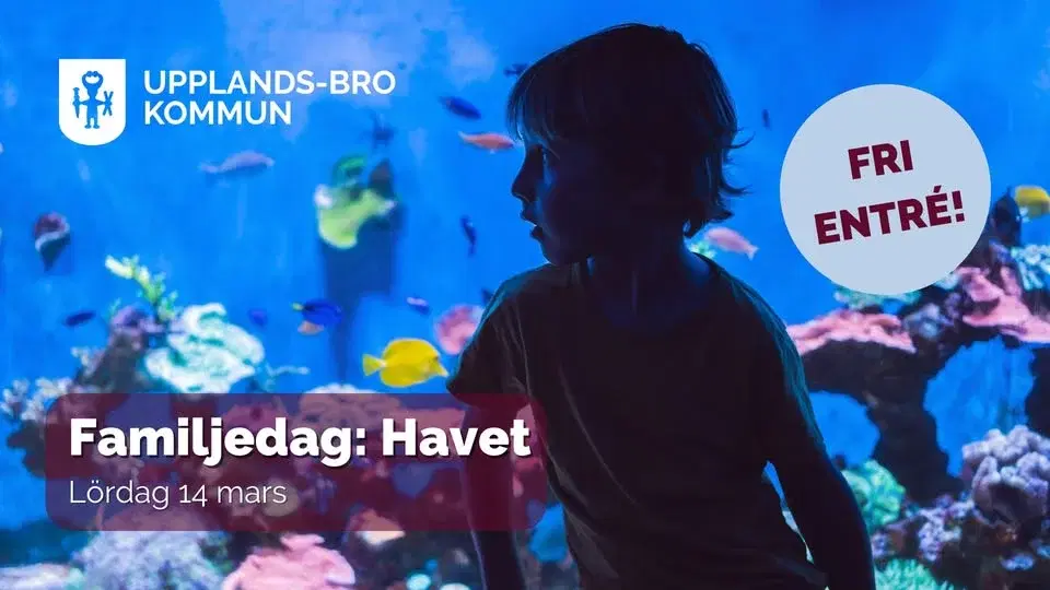 Familjedag: Havet