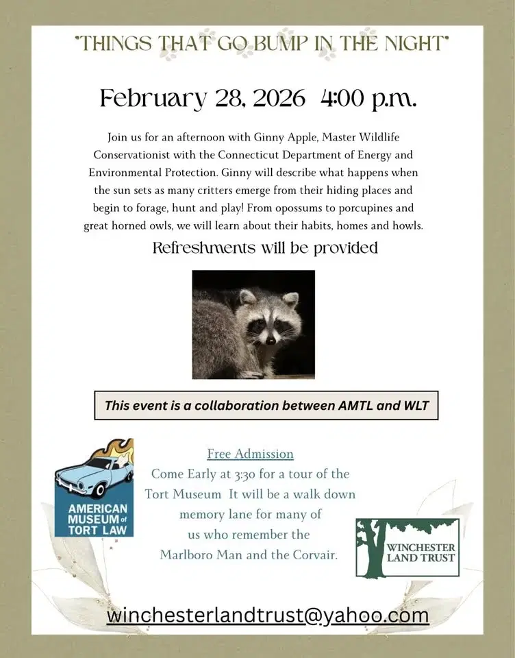 Things That Go Bump In The Night