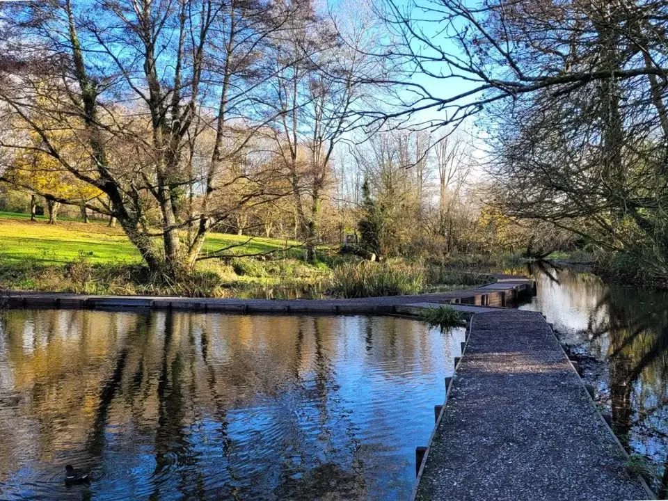 Sun 15th March - Flood Meadows Conservation Working Party - all Welcome