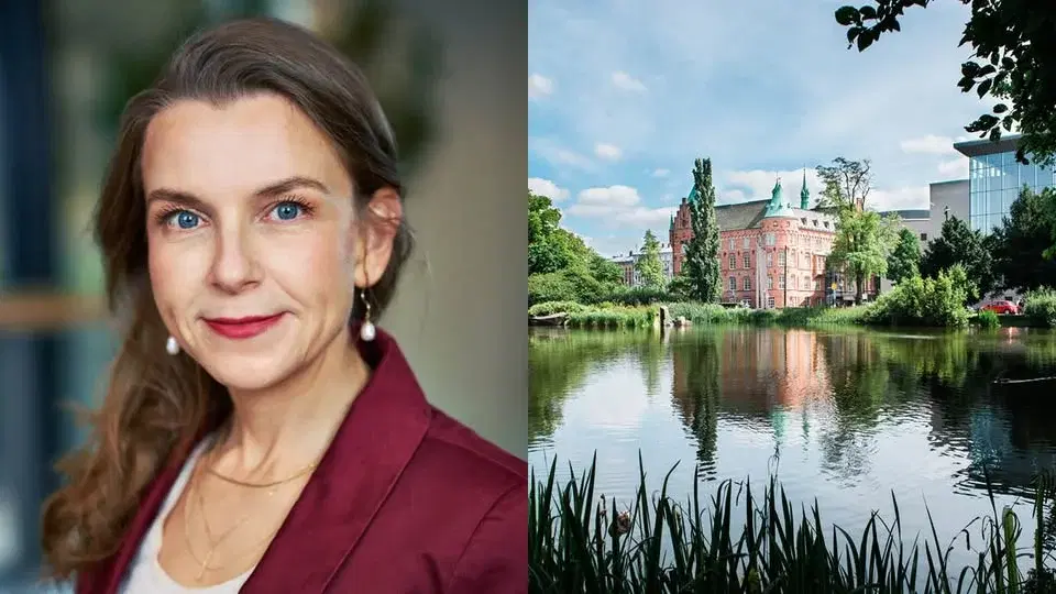 Algoritmer, AI och kampen om sanningen