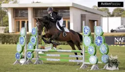Show jumping inc ESUK qualifiers