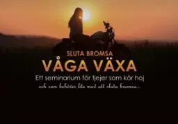 Sluta bromsa våga växa