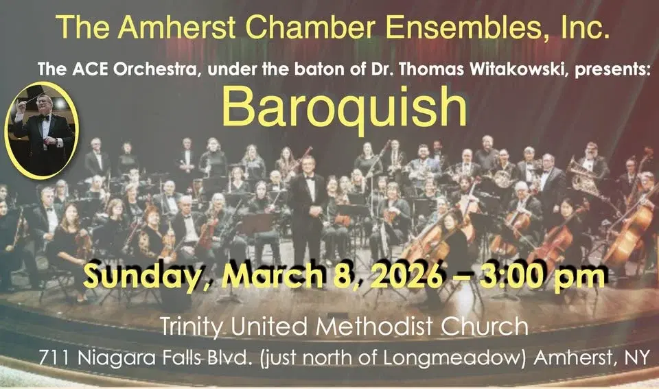 ACE Orchestra Concert "Baroquish"