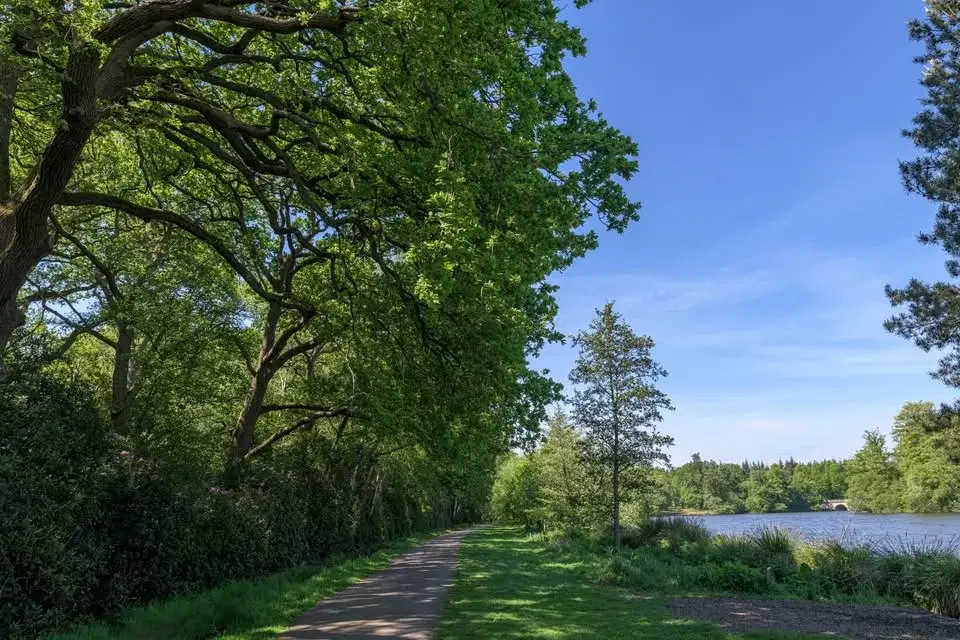 Virginia Water Cascades & Windsor Castle – Sat 27 Jun 2026 - Long Walk Live