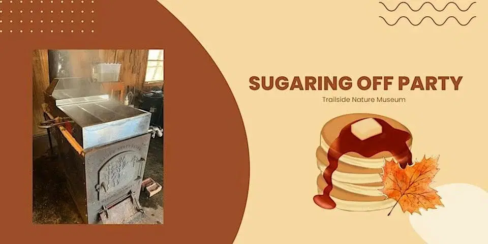 Trailside Nature Museum's Sugaring Off Party