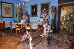 Rájecké kamélie a zámek Blansko