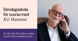 Söndagsskola för vuxna