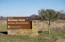 April Kent County, Delaware Garden Exchange