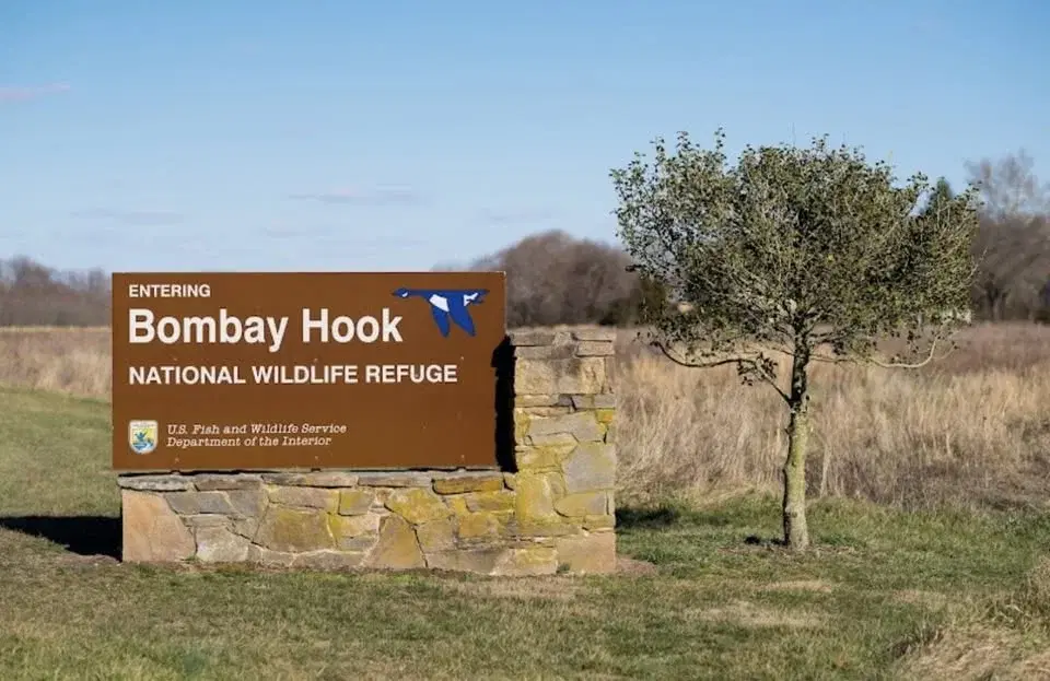 April Kent County, Delaware Garden Exchange