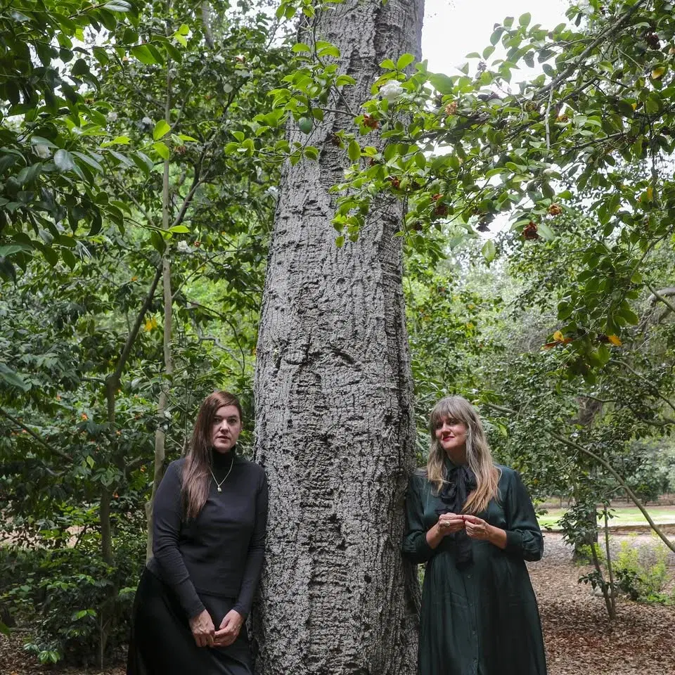 Julianna Barwick & Mary Lattimore w/ Jeff Zeigler in the Sanctuary of the First Unitarian Church