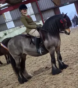 đINHAND & RIDDEN HORSE SHOWđ SUNDAY 8th MARCH đ MILL LANE