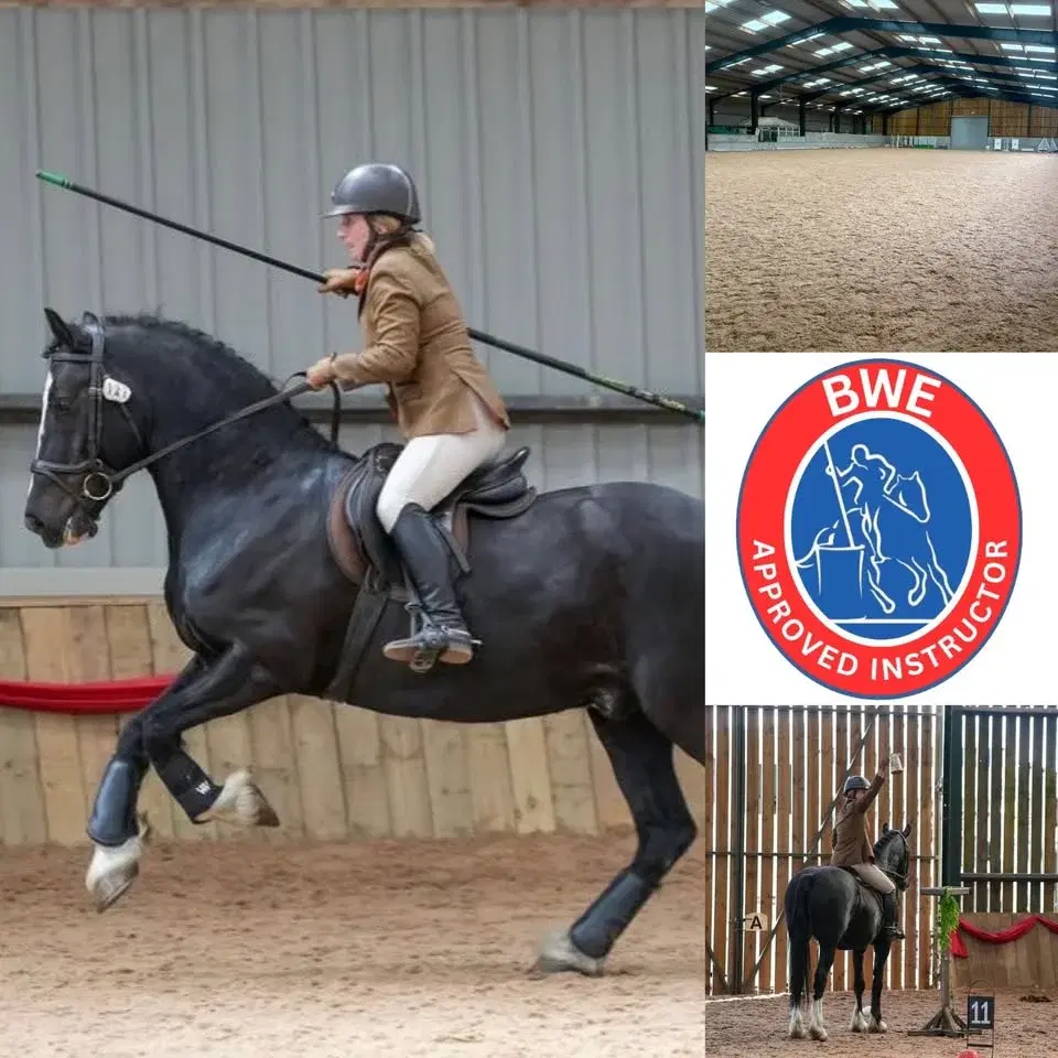 March 15th Working Equitation Clinic - Buxton