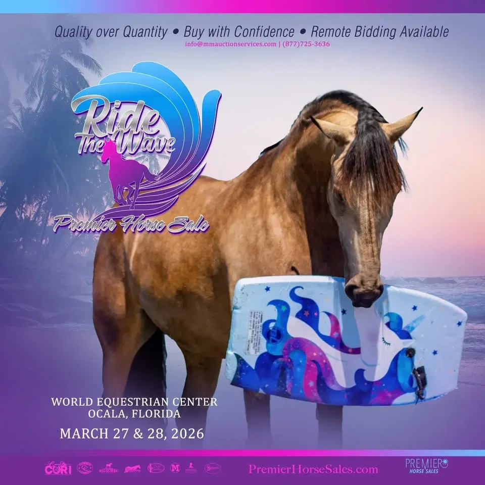 2026 Ride the Wave Premier Horse Sale