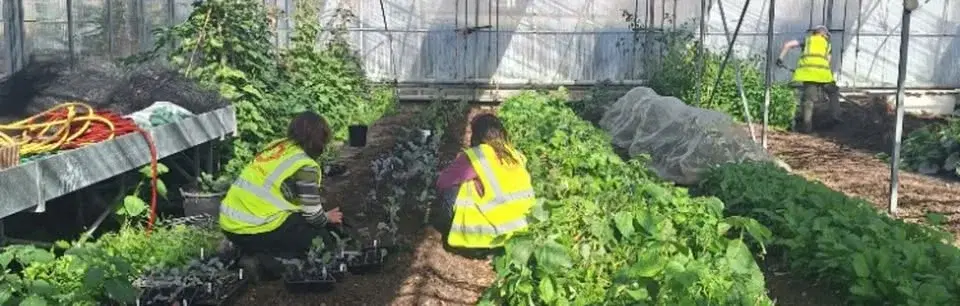 Nature-friendly food growing