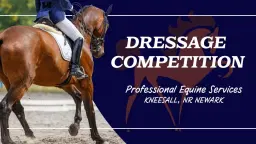 Dressage Competition