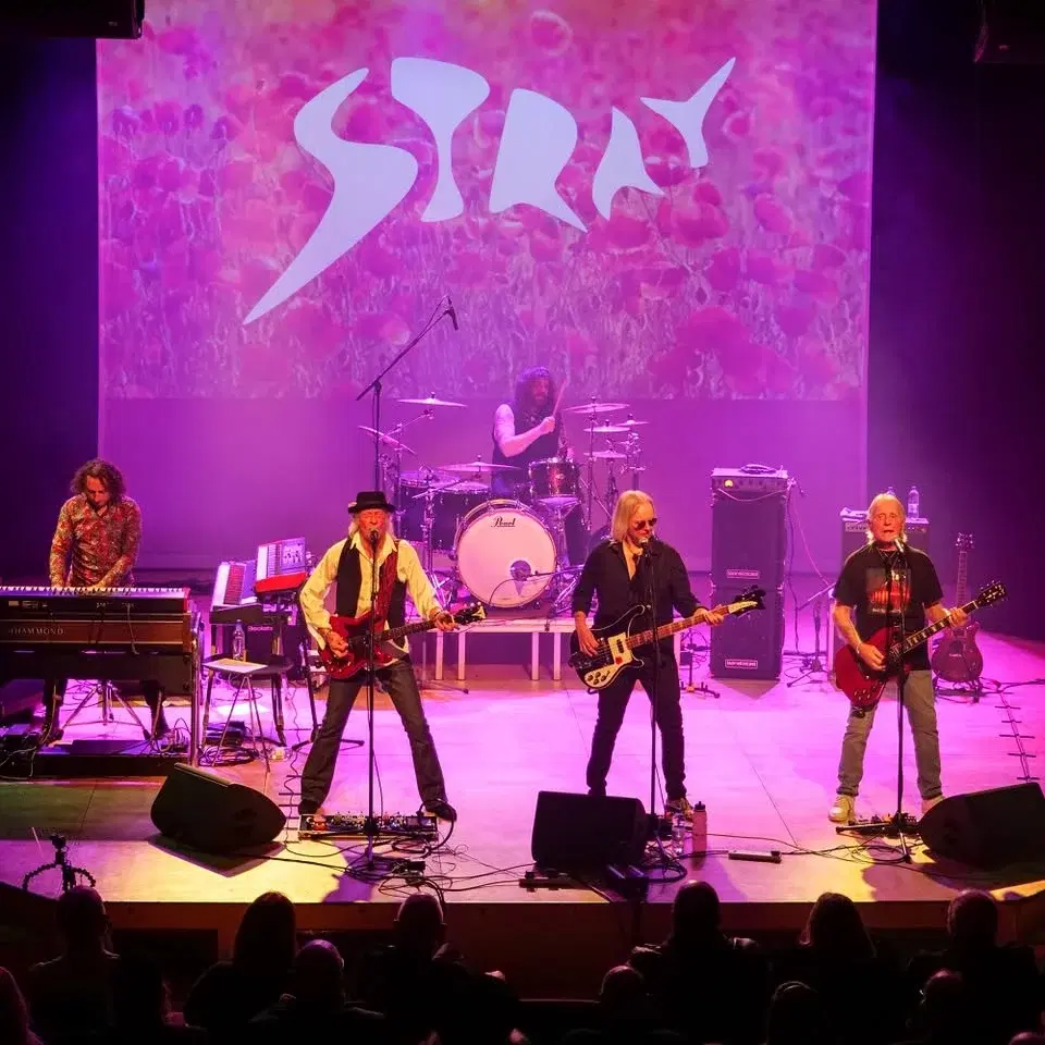 Del Bromham's Stray at The Stables, Milton Keynes