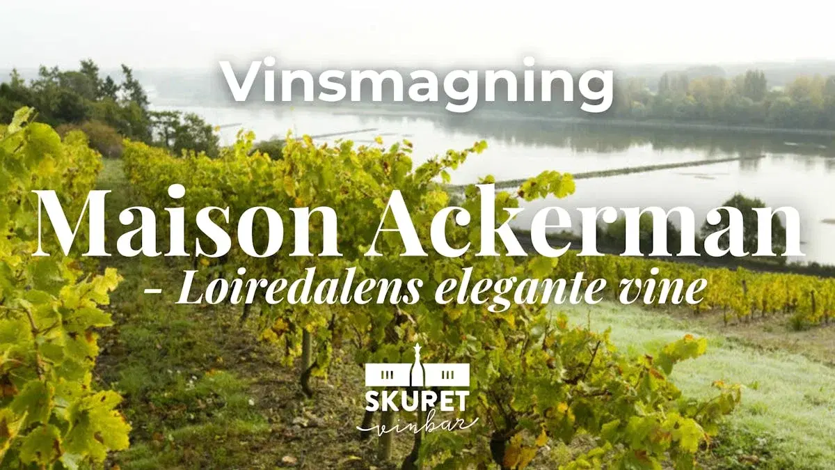 Vinsmagning: Loiredalens elegante vine