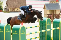 Premiär för hingstvisning i Sverige 28 Februari