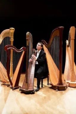 Nybro I Harpan i fokus