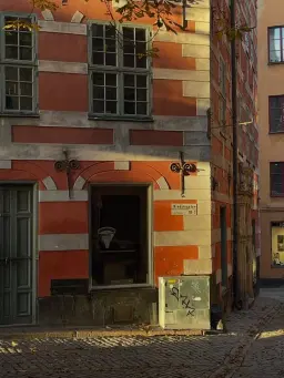 Jazz i dagsljus!🎷🌳☀️